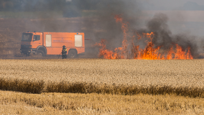 Opgaver - Naturbrand markbrand
