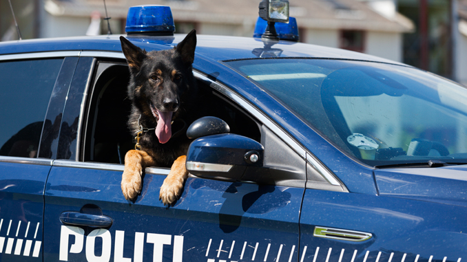 Politi - Hund